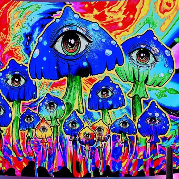 Meet your Posher,  Smokey - Picture 1 of 1